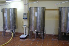 cantina15